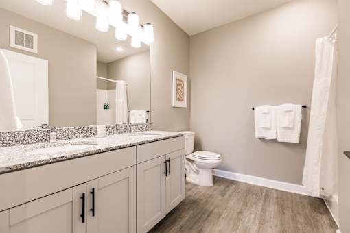 a bathroom with a toilet and a sink and a mirror