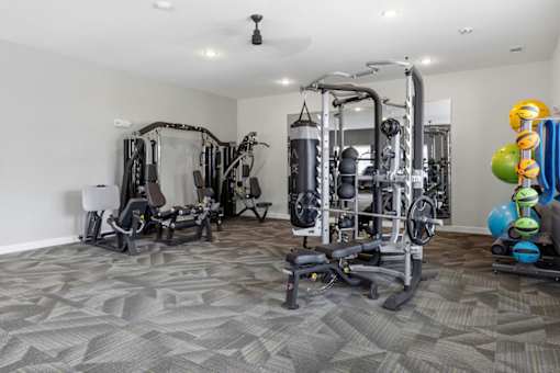 A spacious gym with a variety of equipment including a treadmill, a stationary bike, a rowing machine, a bench press, a squat rack, a cable machine, a leg press, a dum