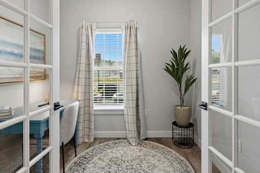 A room with a window, a chair, and a potted plant.