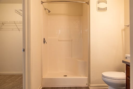 a photo of a shower