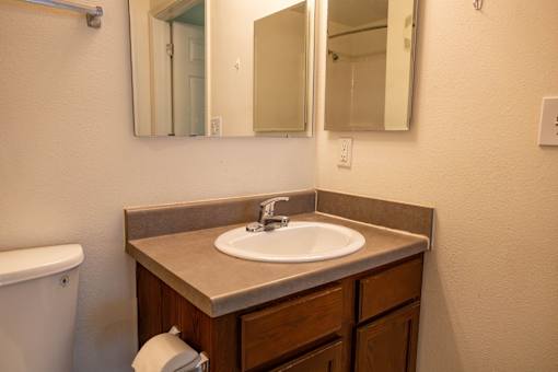 A bathroom with a sink, mirror, and toilet paper.