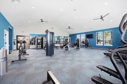 A gym with a variety of equipment including treadmills, weights, and a bench press.