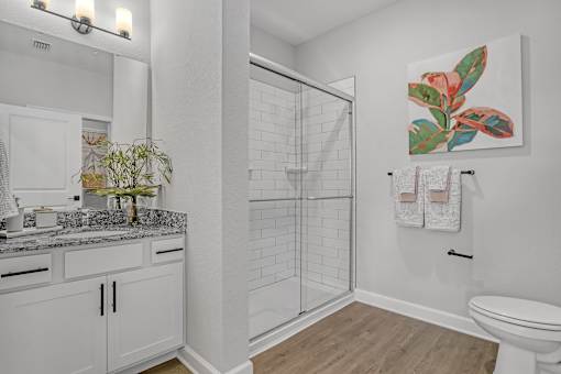 A bathroom with a walk-in shower and a toilet.