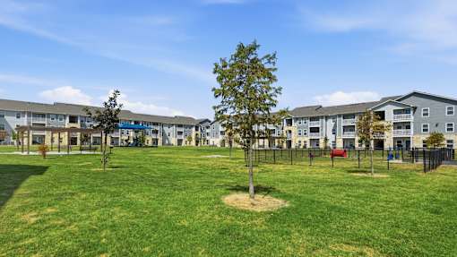 A tree stands in a circle of grass in front of apartment buildings.