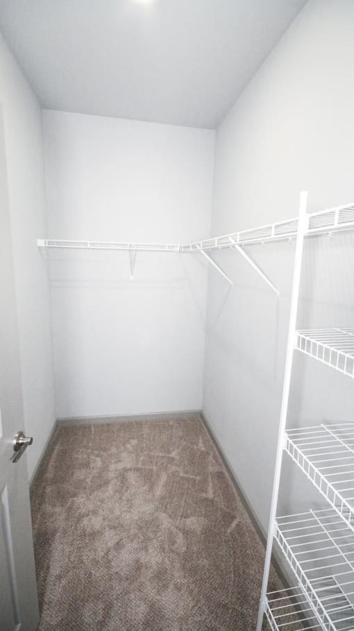 a large walk in closet at Mosaic Apartments in Avon, Indiana
