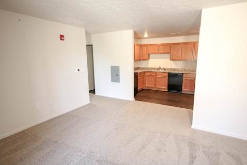 A room with a carpeted floor and a kitchen area in the background.