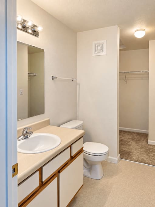 A bathroom with a toilet, sink, and mirror.