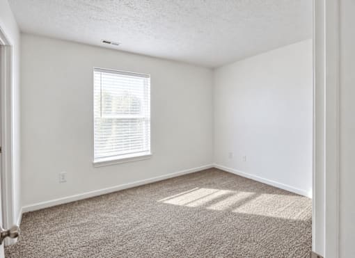 A room with a carpeted floor and a window with blinds.
