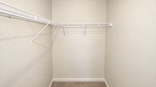 A white closet with a shelf and a carpeted floor.
