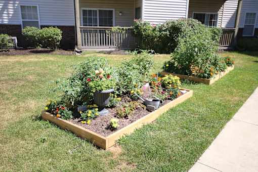 A garden with a variety of plants and flowers.