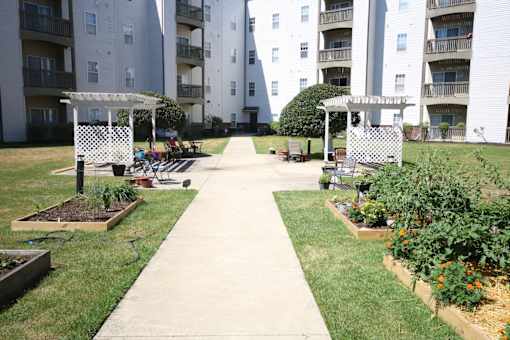 A garden area with a walkway in the middle of it.