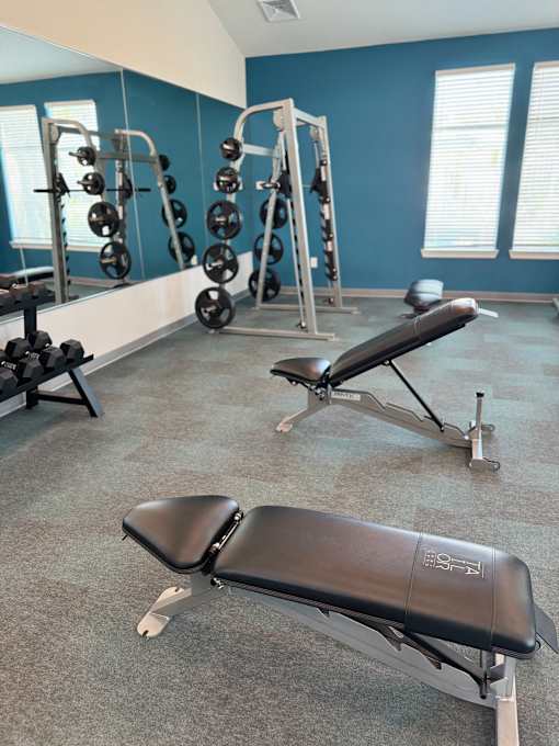 A gym with a bench, weights, and a mirror.