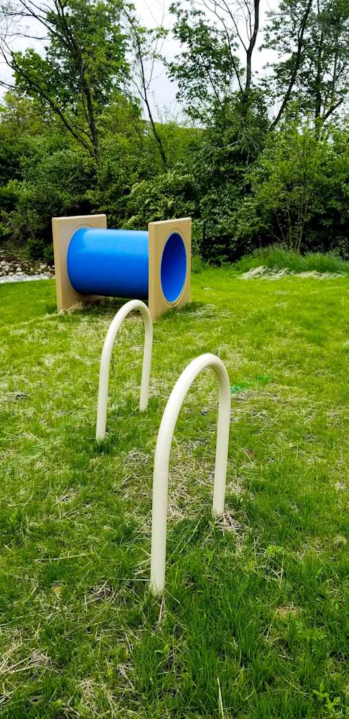 A blue and white playground structure in a grassy area.