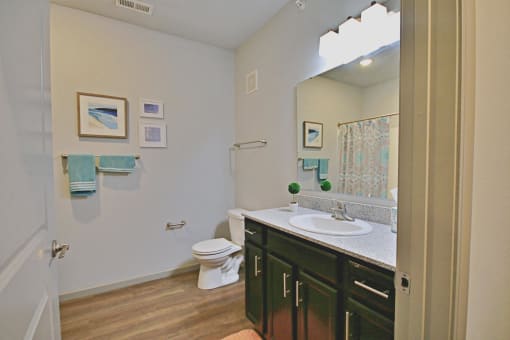 a bathroom with a sink and a toilet and a mirror