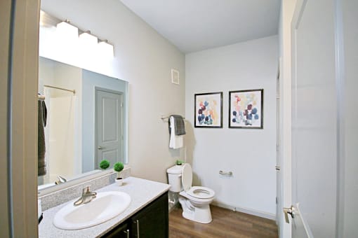 a bathroom with a sink toilet and a mirror