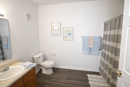A bathroom with a toilet, sink, and shower curtain.