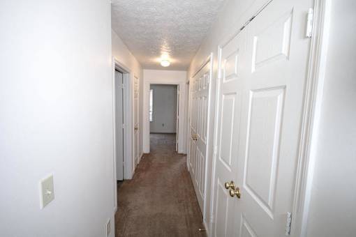 A hallway with white doors and a brown carpet.