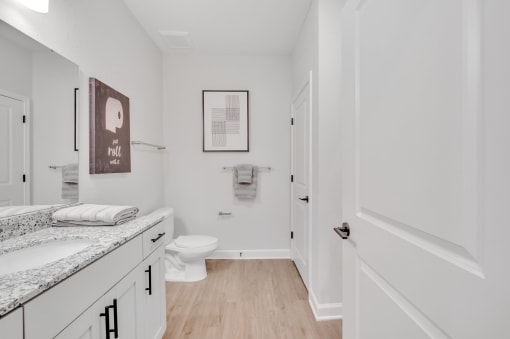 a bathroom with a toilet and a sink and a mirror
