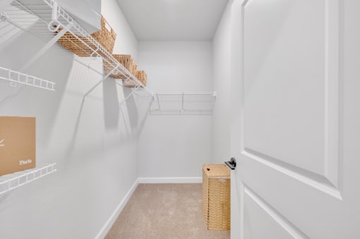 large empty closet with shelves