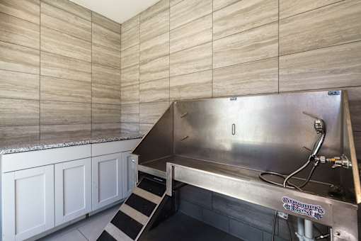 A stainless steel pet washing station