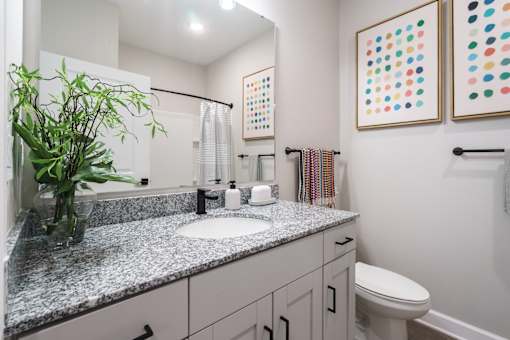 A bathroom with a white toilet and a mirror above the sink.