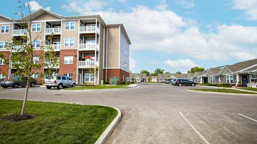A tree stands in a grassy area in front of apartment buildings.
