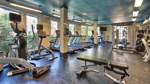 a gym with cardio equipment and weights on the floor