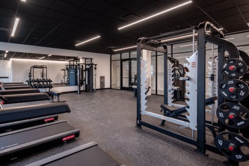 a gym with weights and treadmills and other exercise equipment