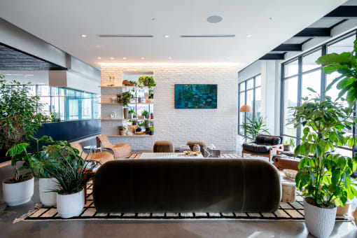 a living room filled with plants and a brown couch