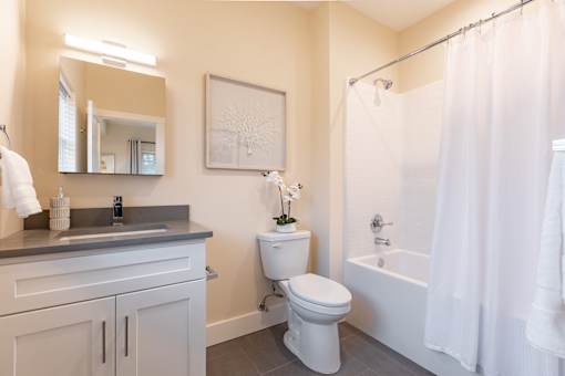 A white toilet sits next to a sink in a bathroom.