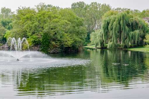 Lake With Fountain at Evergreen, Indiana