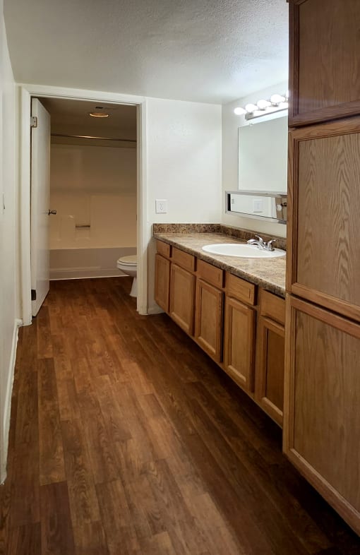a bathroom with a door separating the tub/shower and toilet from the sink, counter space, cabinets and linen closet