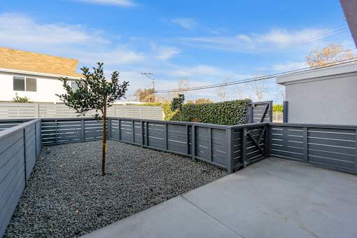 A small tree stands in a gravel area between two grey fences.