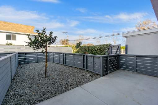 A small tree stands in a gravel area between two grey fences.