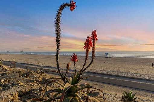 Beach view at Ocean Breeze Terrace Apartment, Huntington Beach