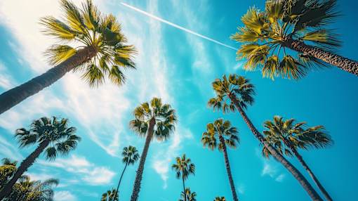 Palm trees reaching up towards a clear blue sky.