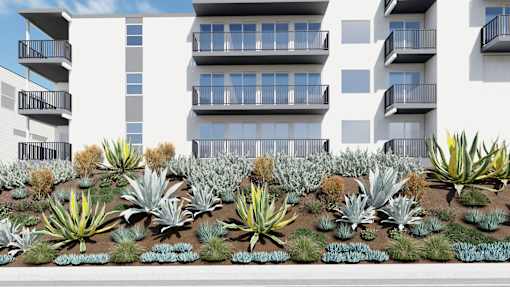 an architectural rendering of a building with succulents in front of it