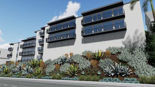 a large white building with succulents in front of it