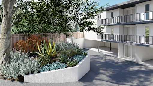 a rendering of a yard with succulent plants in front of a building