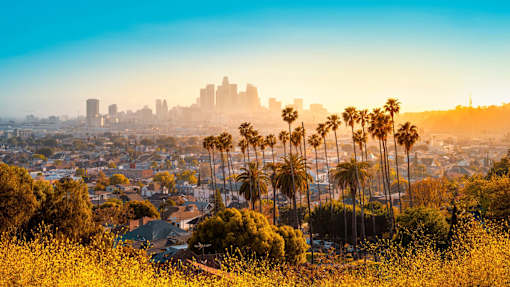 A city skyline is visible through a hazy atmosphere with palm trees in the foreground.