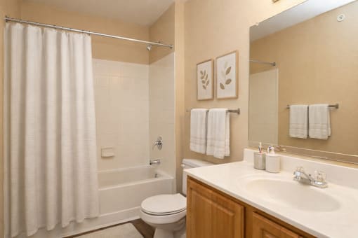Bathroom with tub shower and vanity at Walnut Ridge Apartments, North Carolina