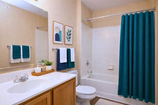 Bathroom with white tub and teal shower curtain at Walnut Ridge Apartments, Raleigh