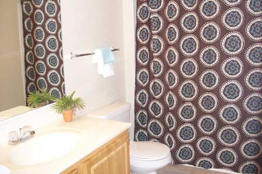 Bathroom vanity with decorative shower curtain at Walnut Ridge Apartments, Raleigh