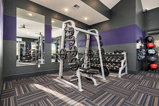 A gym with a weight bench and weights.