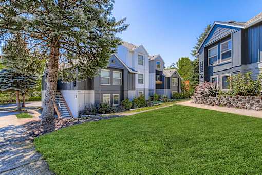 A row of houses with a tree in front of them.