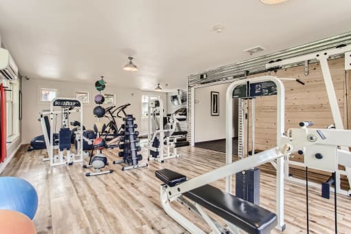 Fairview Apartments for Rent-Lodges at Lake Salish-Fitness Center with Equipment, Hardwood Style Flooring, Large Windows, and Overhead Lighting