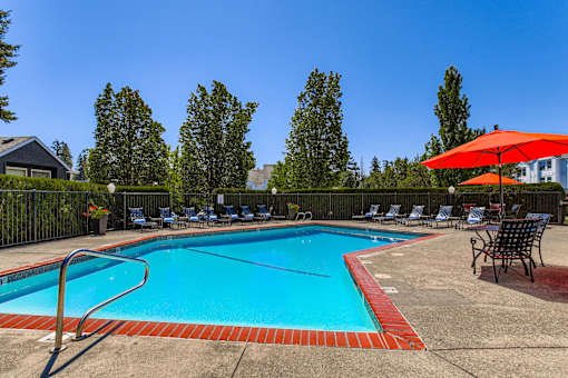 A large swimming pool surrounded by trees and chairs.