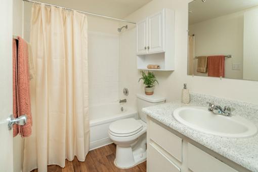A bathroom with a toilet, sink, and shower.