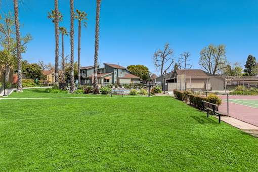 A grassy area with a bench and trees in front of a building.