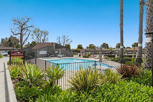 A pool surrounded by green plants and trees.